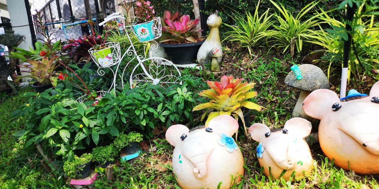 บ้านปลายฝัน Baanplaifun Ban Huai Phai Zewnętrze zdjęcie